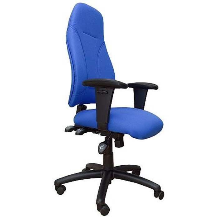 Esme Ergonomic Posture Chair