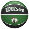 Wilson NBA Team Tribute Boston Celtics Basketball
