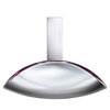Calvin Klein Euphoria For Women EDP