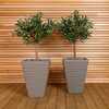 Pair of Tall Trojan Square Granite Planters (Dia. 40cm)