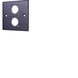 Black Wall Plate With D-Series Hole - 2 Gang