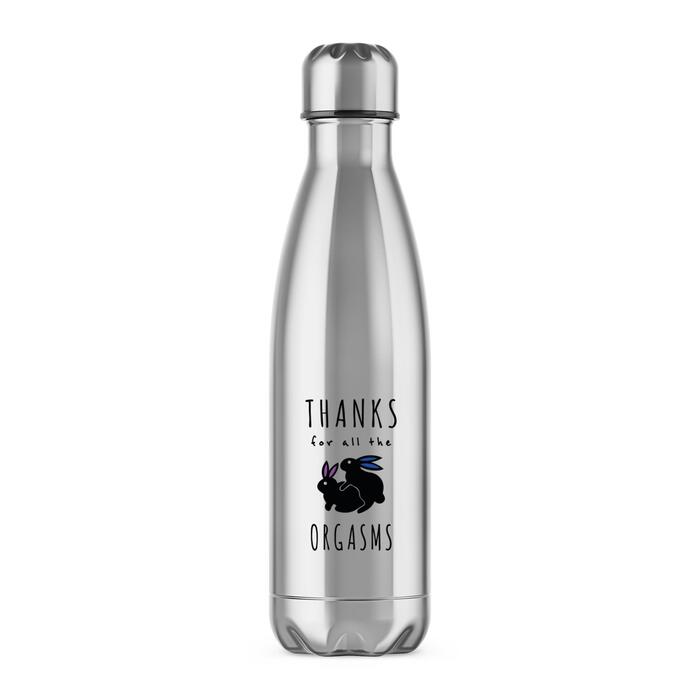 Thanks For All The Orgasms Water Bottle - Silver, One