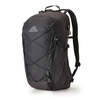 Gregory Kiro 22 Day Pack