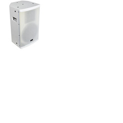 10" Passive Speaker Cabinet White 270W