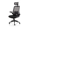 Sigma Executive Mesh Back Chair