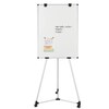 Earth Kyoto Mobile Magnetic Easel