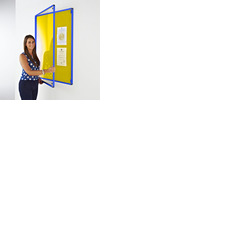 Coloured Frame Tamperproof Noticeboard