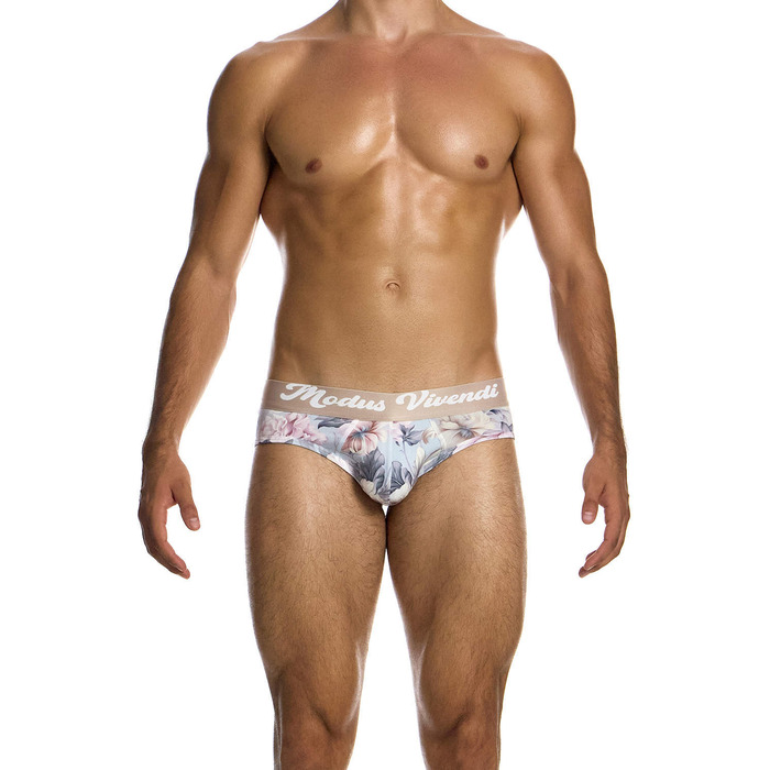 Modus Vivendi Classic Romance Brief