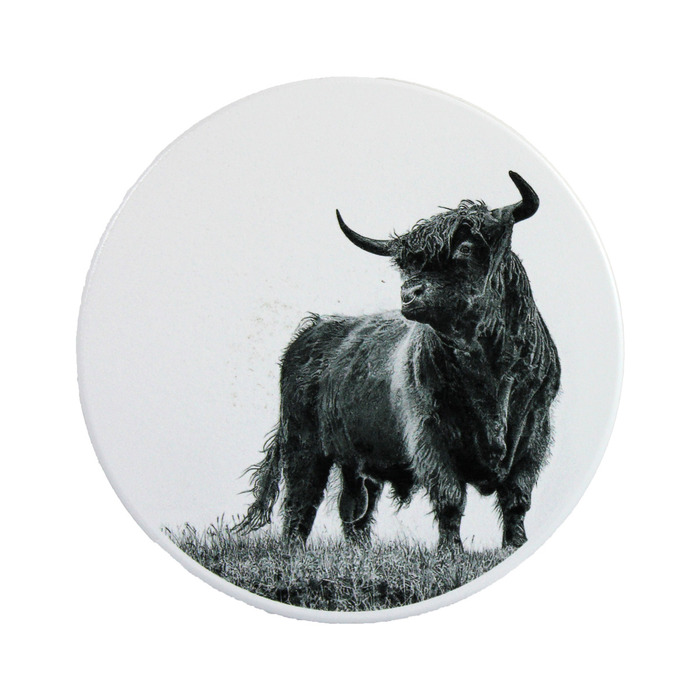 Nick Field Black & White Highland Bull Coaster