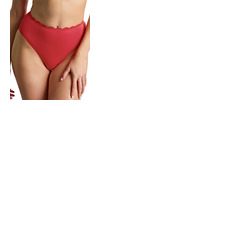 Panache Spirit High Waist Bikini Brief
