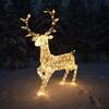 Christmas Reindeer Light