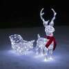 Pre-Lit Christmas Reindeer
