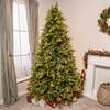 Canterbury Pre-Lit Artificial PE Christmas Tree 6. 5FT, 7. 5FT, 6. 5ft (2m)