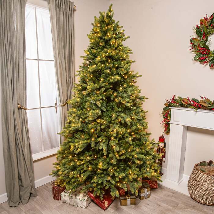 Canterbury Pre-Lit Artificial PE Christmas Tree 6. 5FT, 7. 5FT, 6. 5ft (2m)