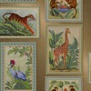 Tropical Frames Wallpaper Gold Holden 14270