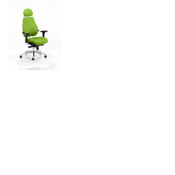 Chiro Plus 'Ultimate' Posture Chair Myrrh Green Fabric