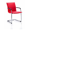 Echo II Red Leather Visitor Chair