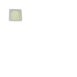 Backing Plate