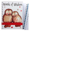 Alex Clarks Owls Large Spiral Journal
