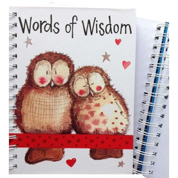 Alex Clarks Owls Large Spiral Journal