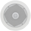 5. 25" Ceiling Speaker with Directional Tweeter
