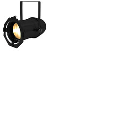 Zoom Par Warm White 100W 15-32 Degrees