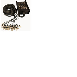 12 Input Stage Box Snake (INPUTS Only) Coded Flying Male XLR's