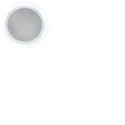 5" Ceiling Speaker with Fire Dome