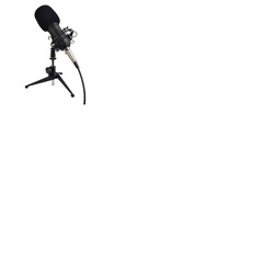 Studio Recording Microphone Complete With Shock mount & Stand