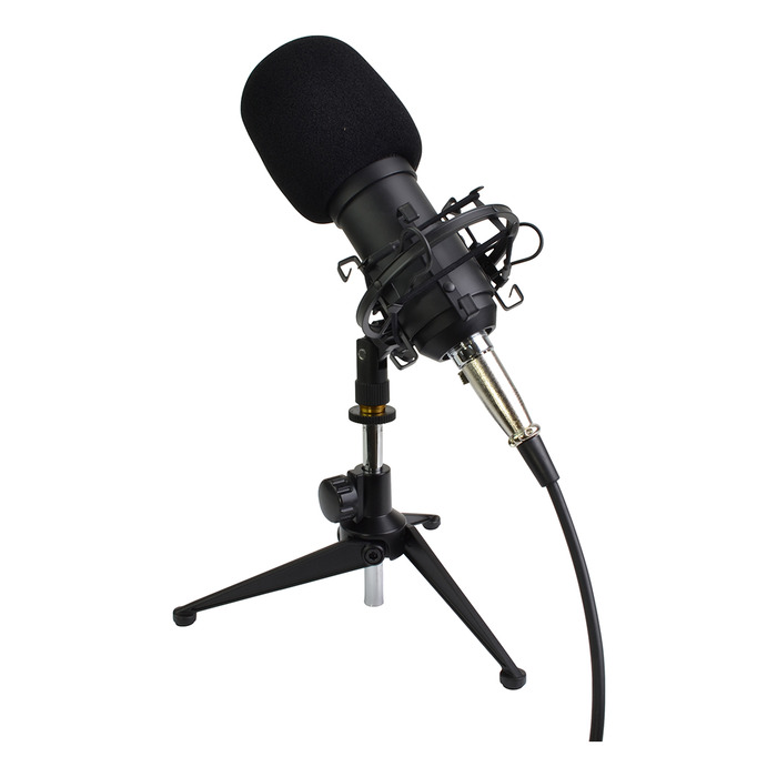 Studio Recording Microphone Complete With Shock mount & Stand