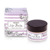 Mad Beauty In Bloom Lilac / Shea Butter Boxed Lip Balm