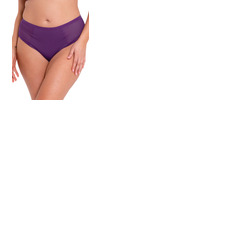 Curvy Kate WonderFully Shorty Brief