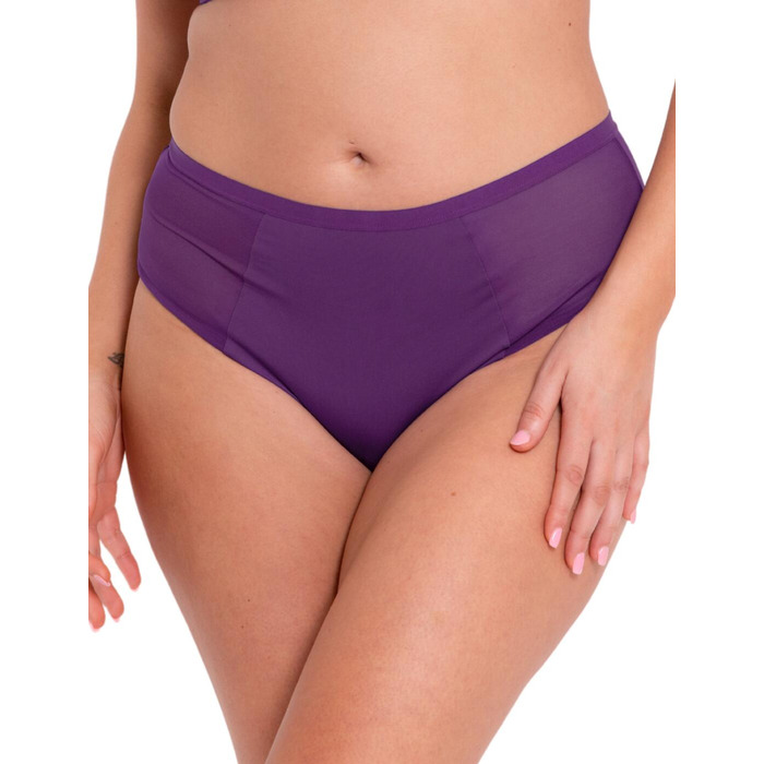 Curvy Kate WonderFully Shorty Brief