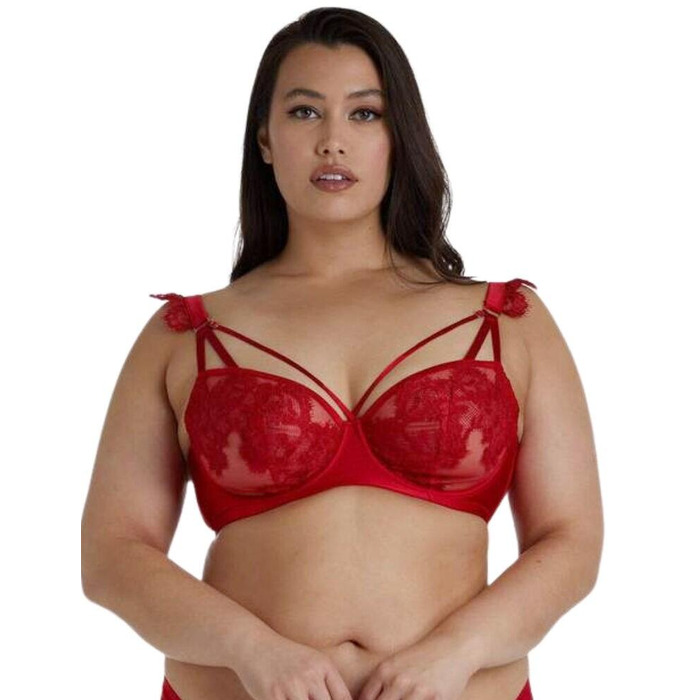 Playful Promises Anneliese Satin Net and Lace Curve Bra