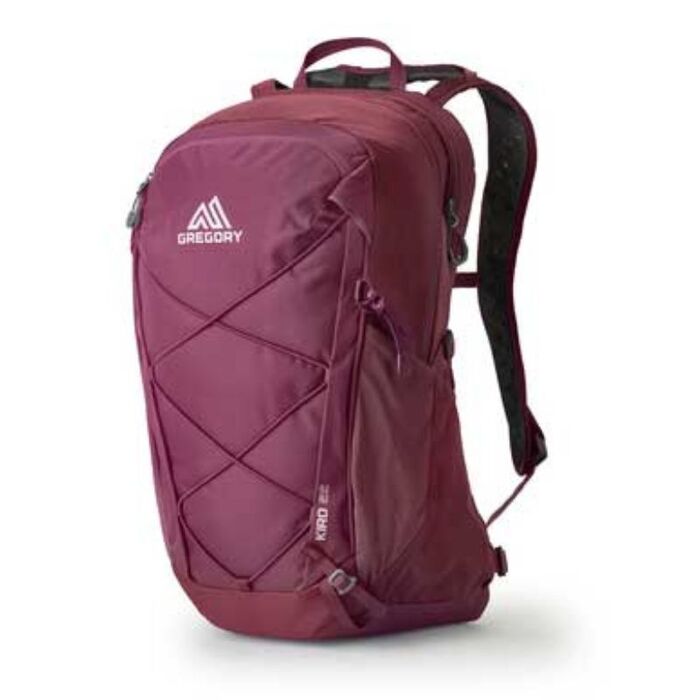 Gregory Kiro 22 Day Pack - Purple