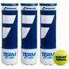 Babolat Team All Court Tennis Balls - 1 Dozen