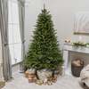 Balmoral Spruce Artificial PVC Christmas Tree 6. 5FT, 7. 5FT, 6. 5ft (2m)