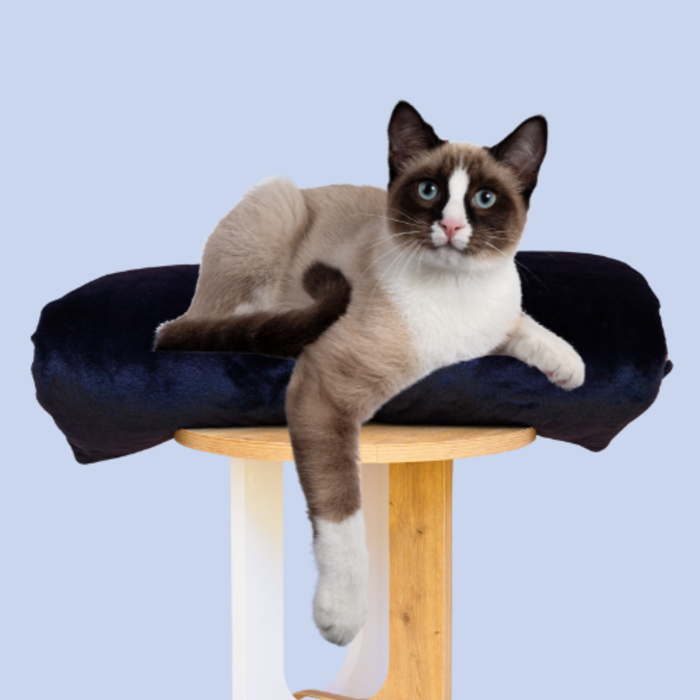 Cat Bed Mattress Fur Blackberry Cover