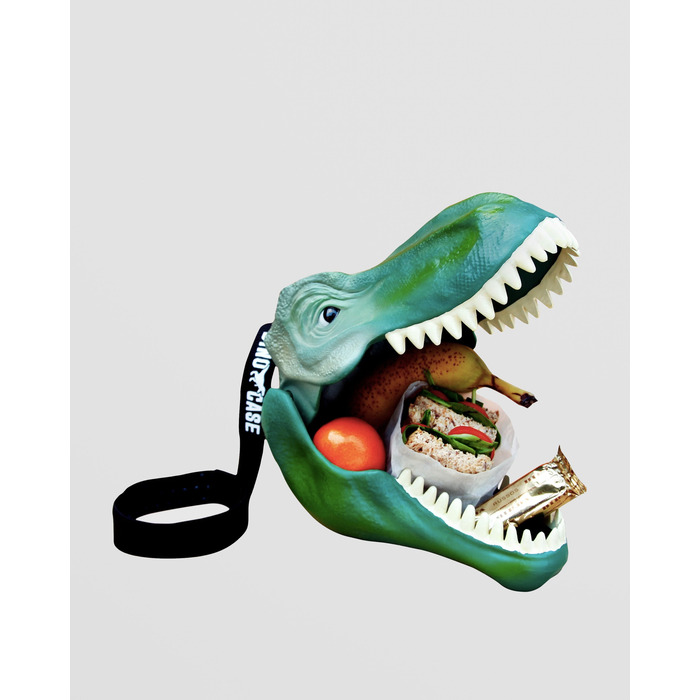 Dinosaur Lunch Box