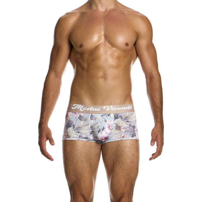Modus Vivendi Romance Boxer Brief