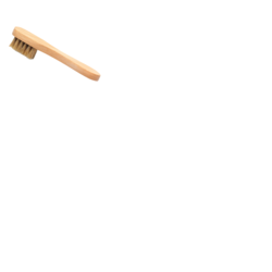 Applicator Brush