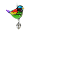 Wild Things Gifts Pretty Little Bird Rainbow