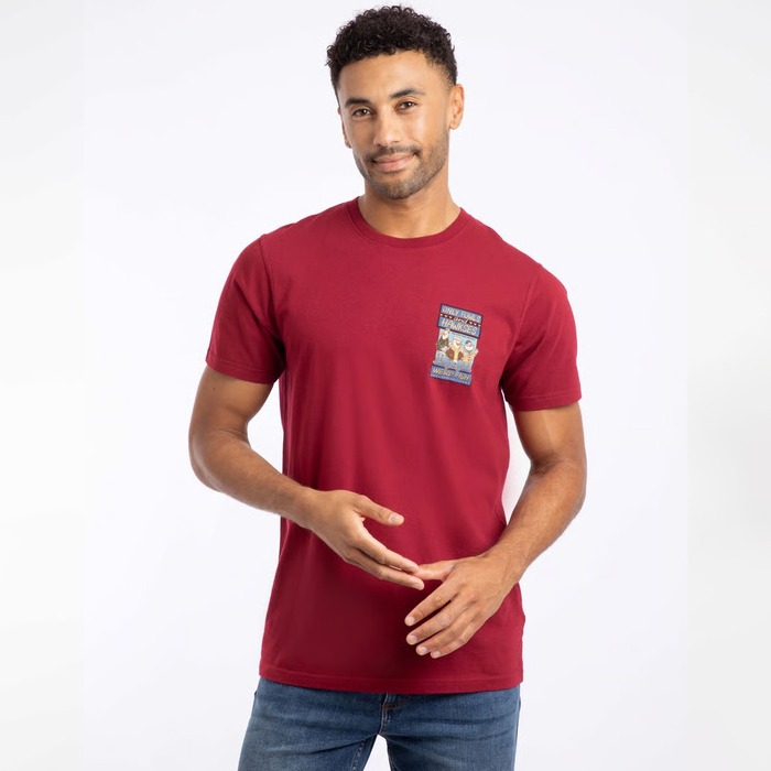 Weird Fish Only Fowls and Hawkses Organic Cotton Artist T-Shirt Garnet 4XL