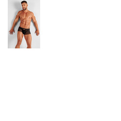 WOH Personal Allure Trunk - Tiger