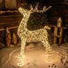 Pre-Lit Christmas Gold Laser Lit Deer 120cm with 960 Warm White LED Micro-Lights