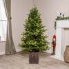 Canterbury Pre-Lit Artificial PE Christmas Tree 4. 5FT