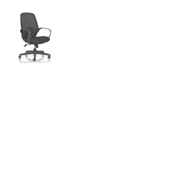 Ariel Mesh Task Chair