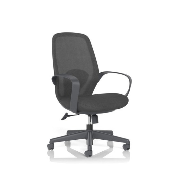Ariel Mesh Task Chair