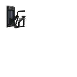 Pro Series, Back Extension