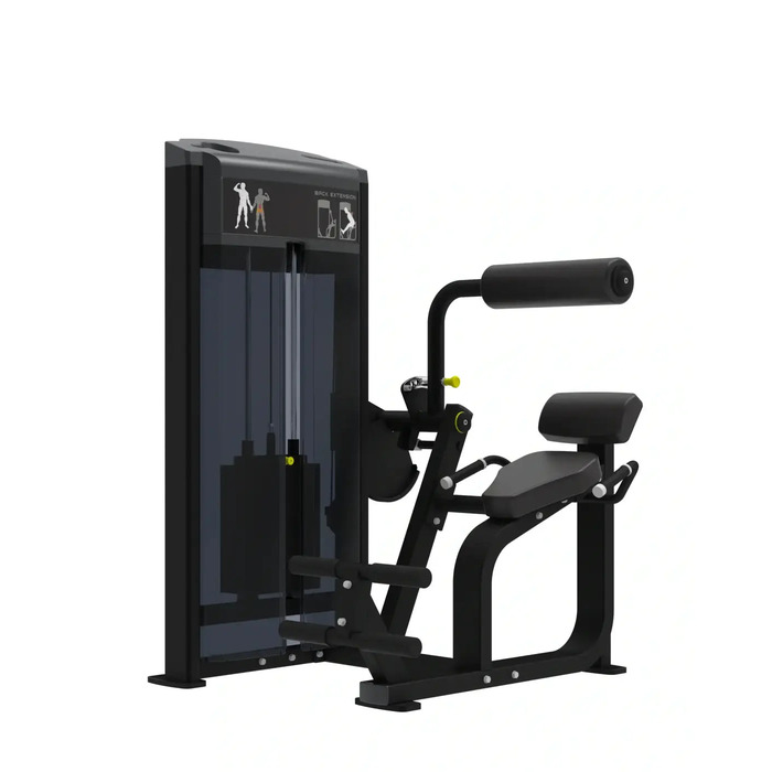 Pro Series, Back Extension